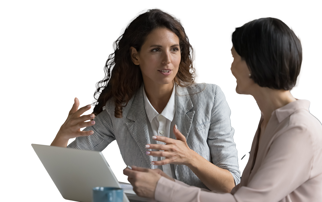 Consultant discussing with a client