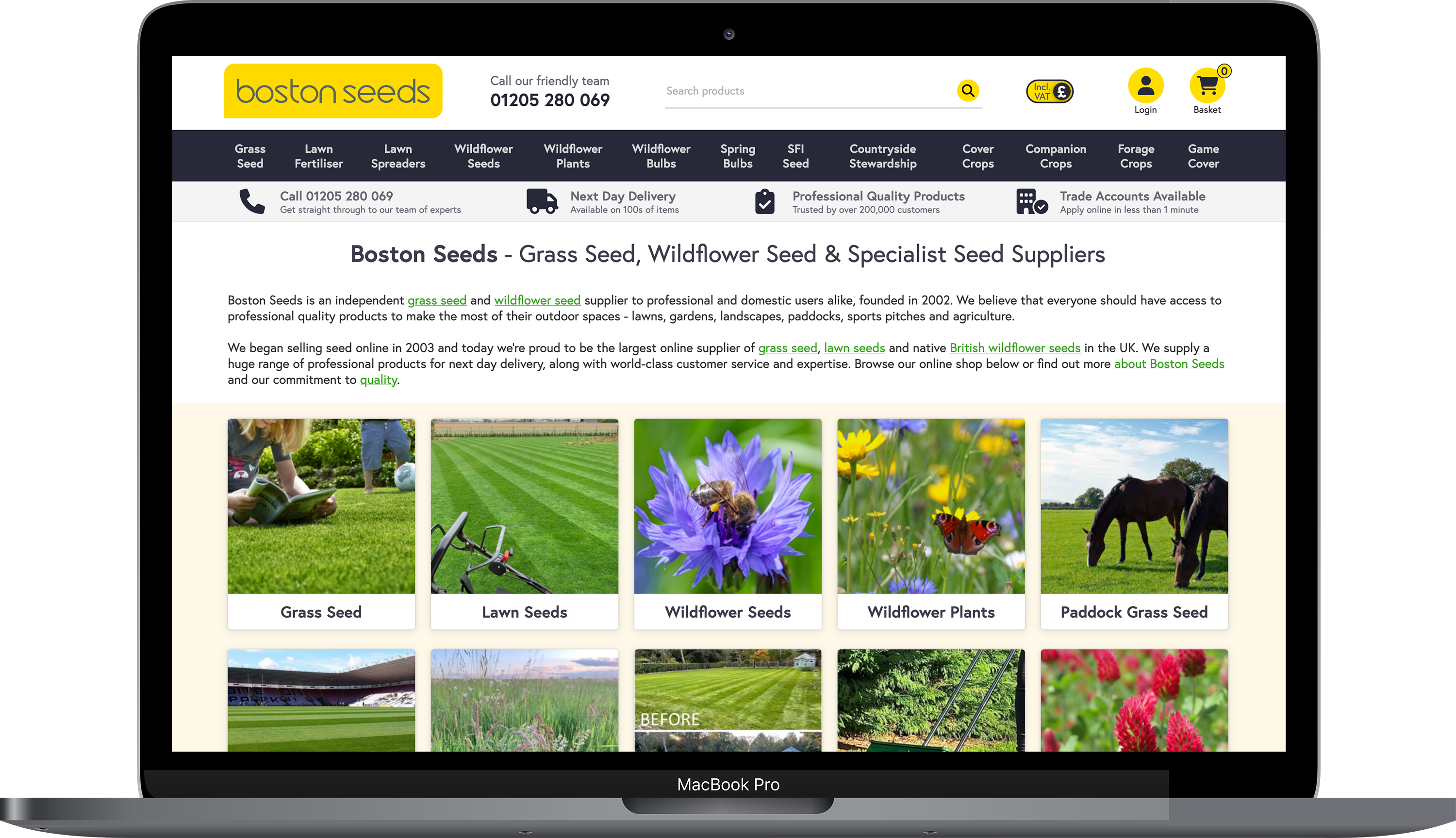 Boston Seeds website