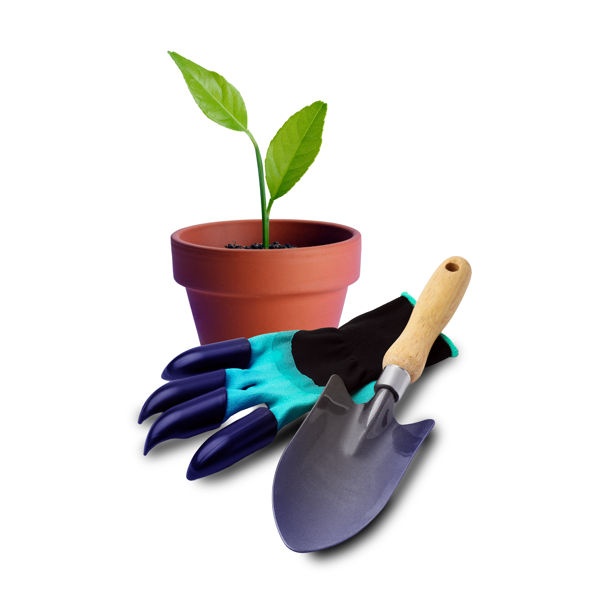 Gardening gloves, a trowel and a plant