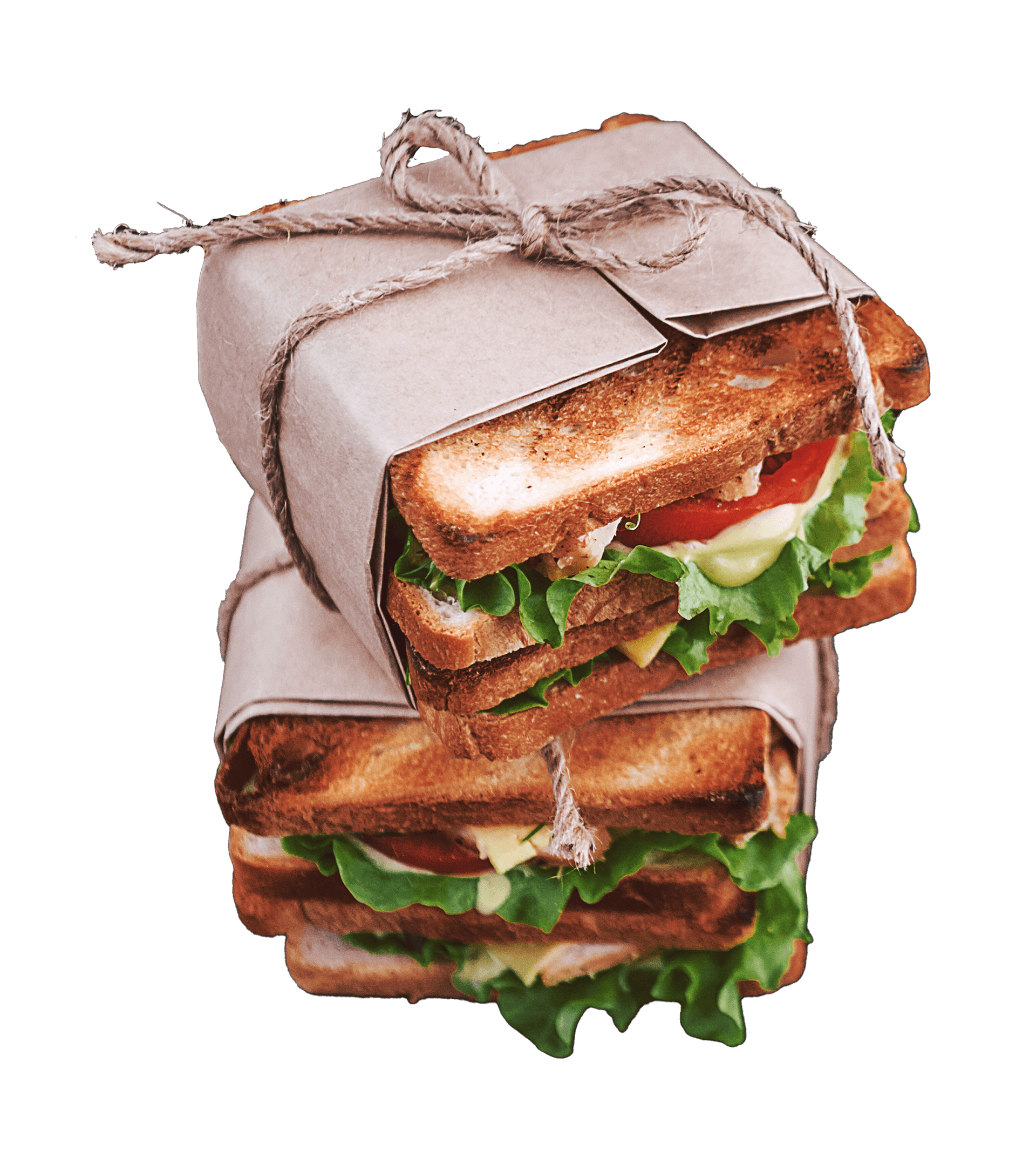 Tasty looking sandwich