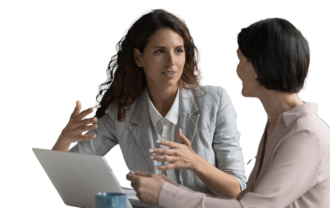 Consultant discussing with a client